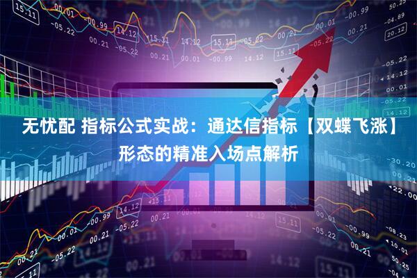 无忧配 指标公式实战：通达信指标【双蝶飞涨】形态的精准入场点解析