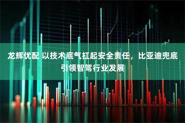 龙辉优配 以技术底气扛起安全责任,比亚迪兜底引领智驾行业发展