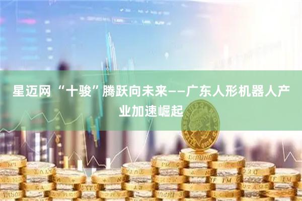 星迈网 “十骏”腾跃向未来——广东人形机器人产业加速崛起