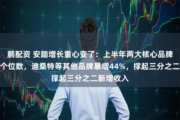 鹏配资 安踏增长重心变了：上半年两大核心品牌增速降至个位数，迪桑特等其他品牌暴增44%，撑起三分之二新增收入